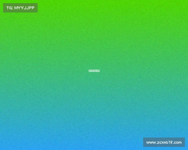 马德里快速红土